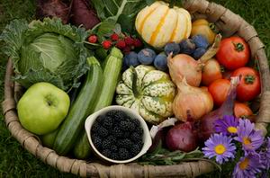 organic and natural food