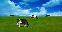 organic farming organic farming
